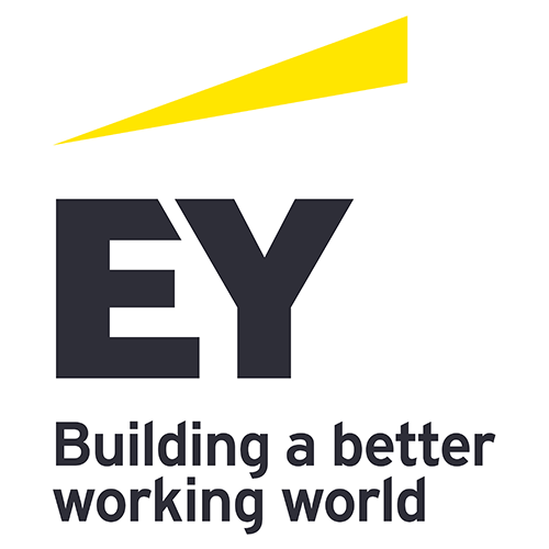 EY CONSULTING